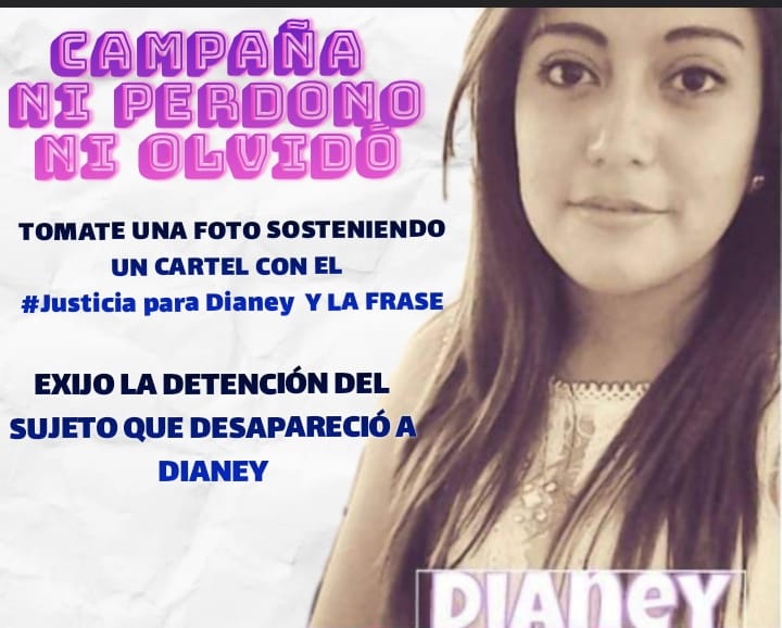 La desaparición forzada de Norma&nbsp;Dianey