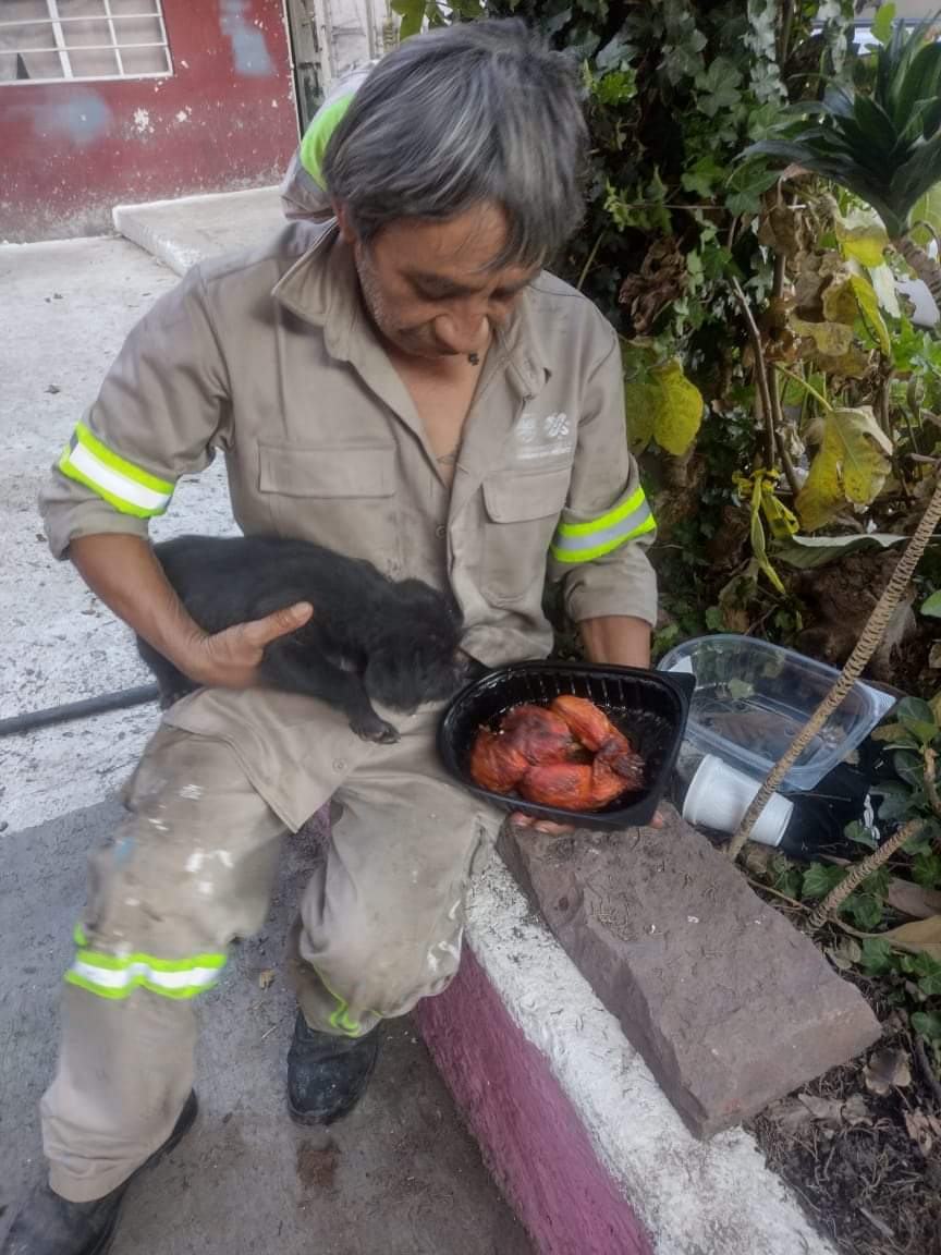 HISTORIAS: Trabajadores de limpia adoptan a familia&nbsp;perruna