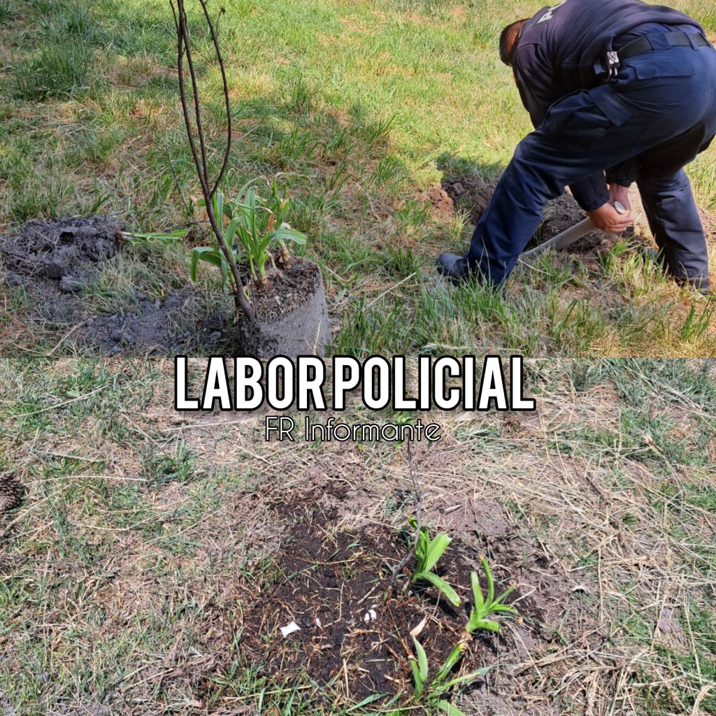 HÉROES: Policías salvan arbolitos abandonados en parque de&nbsp;Toluca