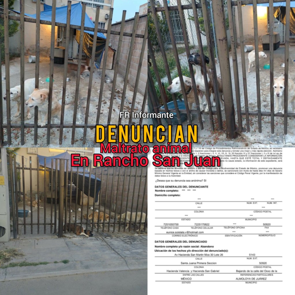 INHUMANO: Denuncian maltrato animal en Rancho San Juan; vecinos les echan comida y agua para evitar que&nbsp;mueran