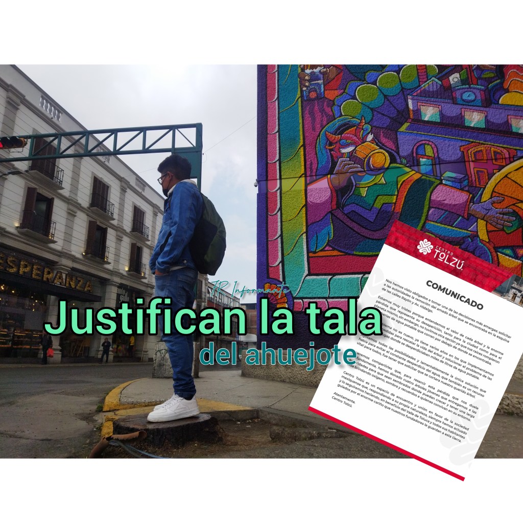 Justifican la tala de árbol en centro&nbsp;Tolzú