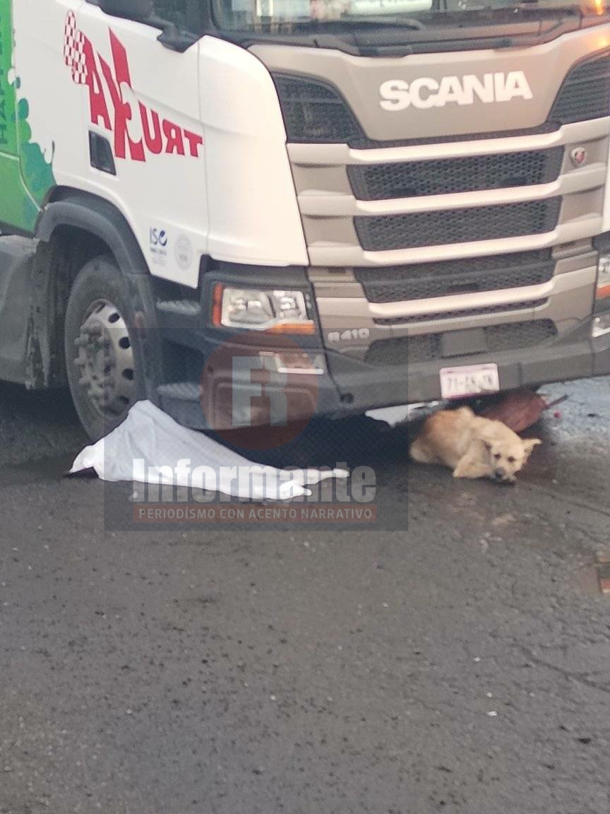 HISTORIAS: Perrito mestizo intentó rescatar a abuelito arrollado en&nbsp;Toluca