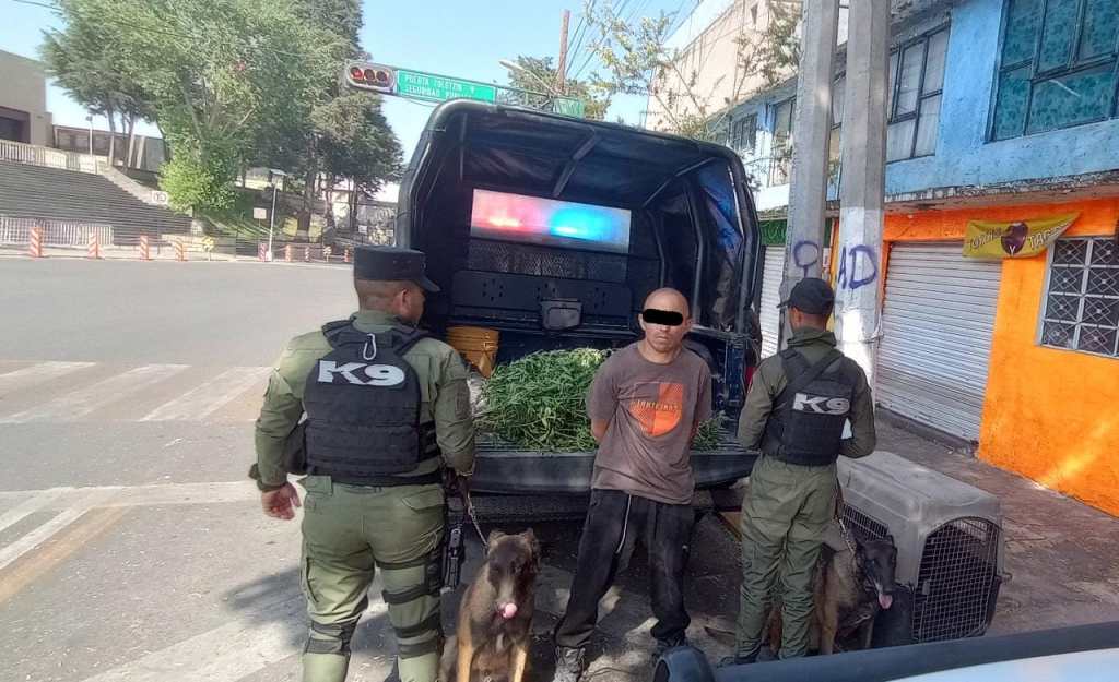 Llevaba un ‘tambache» de mot@ en una bolsa; recién cortadita, lo detuvieron en&nbsp;#Toluca