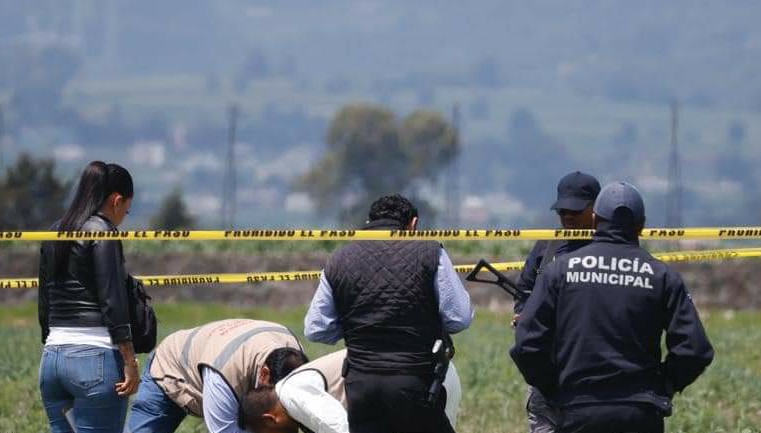 INSEGURIDAD: Dejan cuerpo baleado en milpas de Almoloya de&nbsp;Juárez