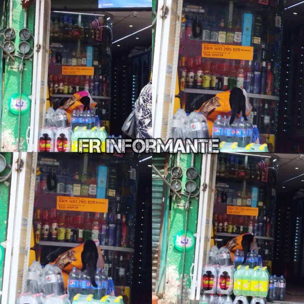 Mishi farderito en el&nbsp;Semi