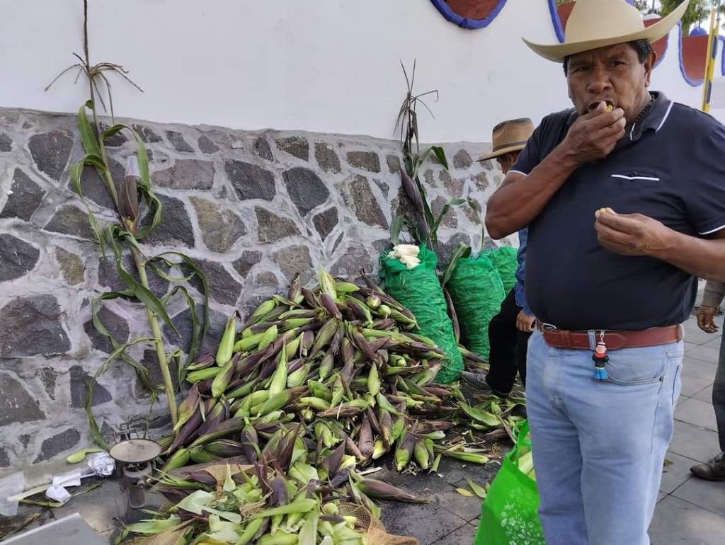 Realizan primera Feria del Elote en San Juan Tilapa&nbsp;#Toluca