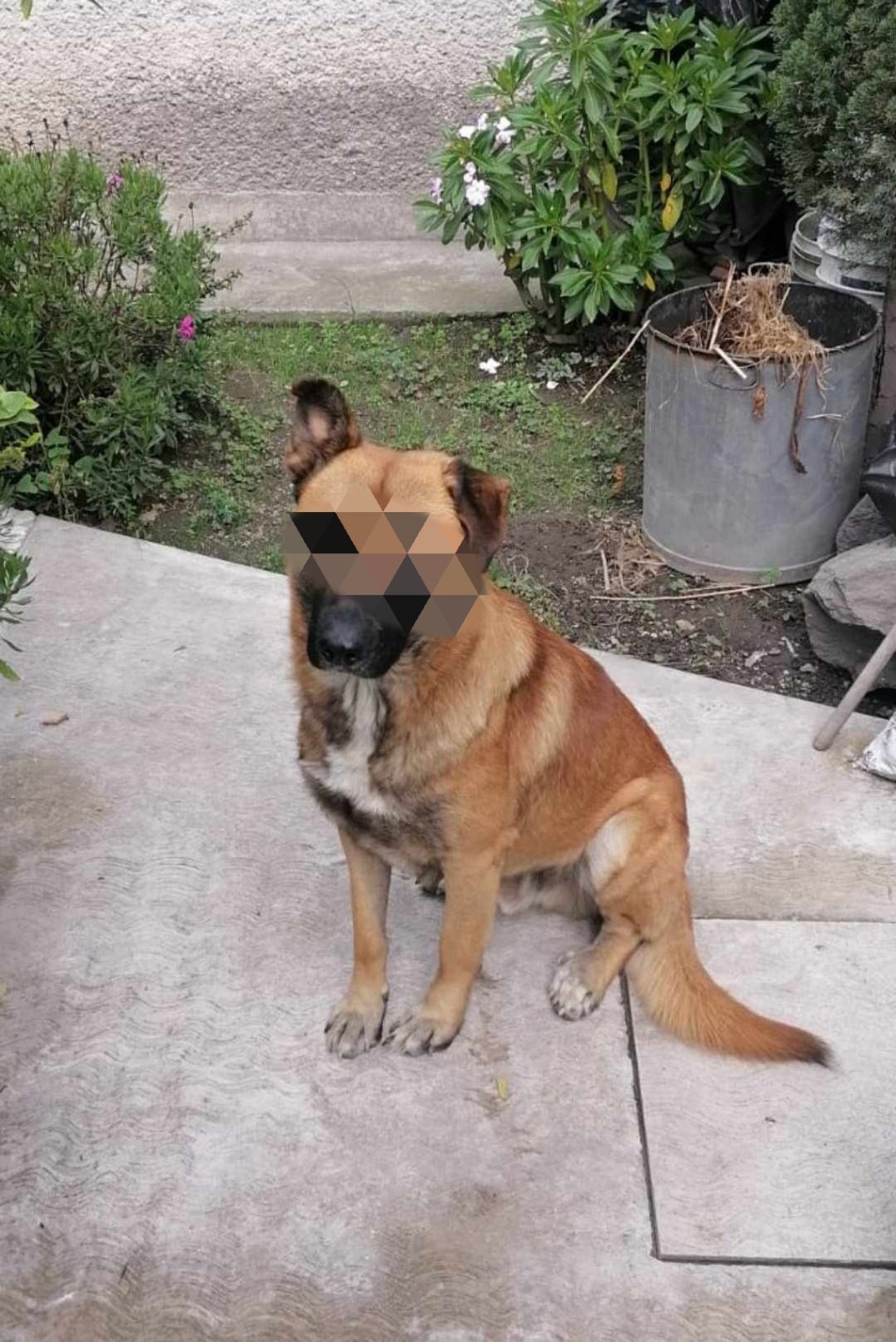 La historia de Polo en el&nbsp;camión