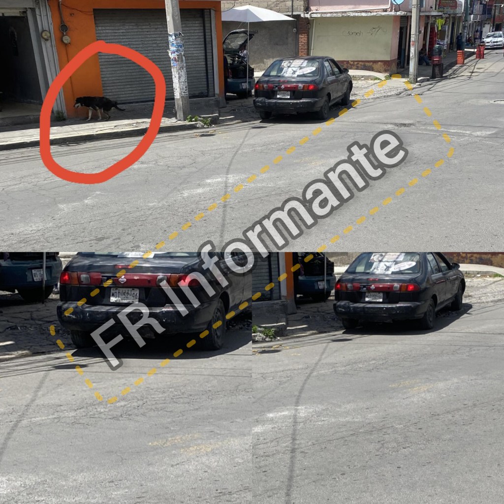 Sujeto atropella a perrito callejero en San Mateo Oxtotitlán #Toluca y se fuga ocurrió este&nbsp;viernes