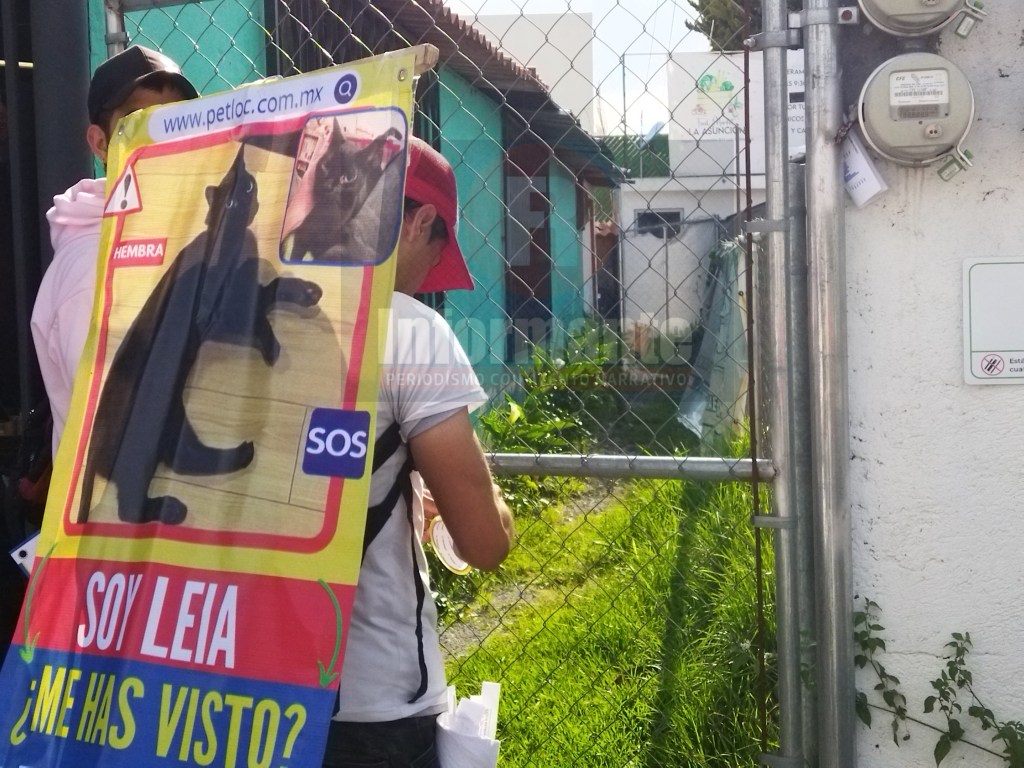 Usan lonas ambulantes para buscar animalitos&nbsp;extraviados