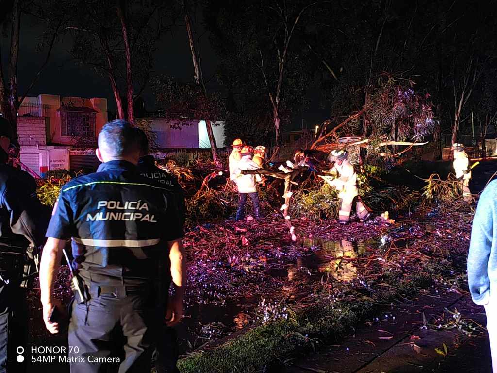 Cae árbol sobre vehículo en #Metepec; ya atendieron los bomberos y no hay&nbsp;lesionados