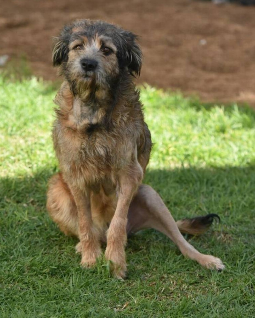 Historias: Un milagro para&nbsp;Barbitas