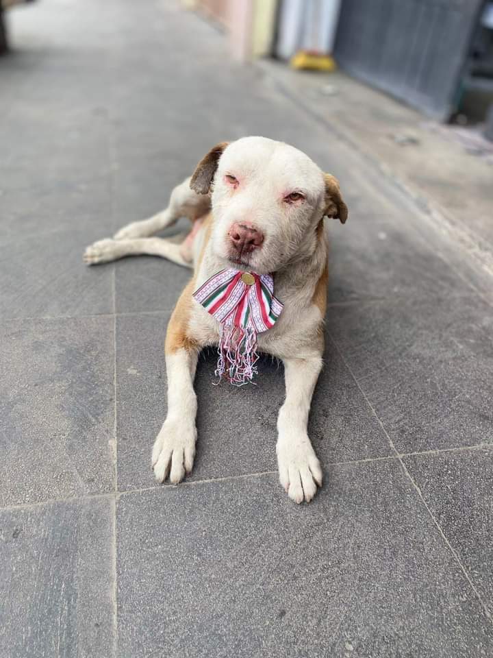 Lanzan convocatoria para pintar mural en memoria del ‘Wero’ en&nbsp;#Xonacatlán