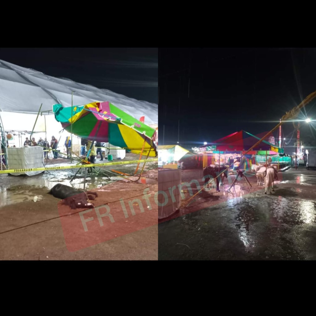 Huye el dueño del pony electrocutado en feria de&nbsp;#Xonacatlán