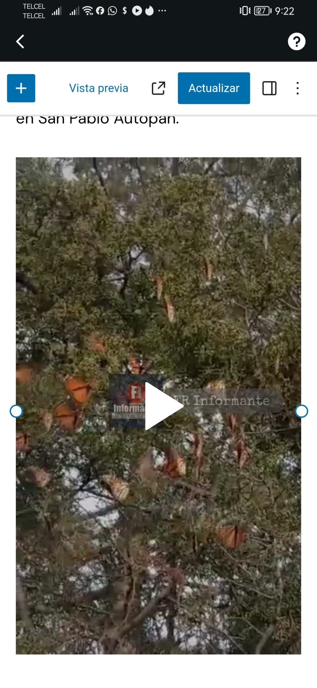 Arriban mariposas monarcas al norte de&nbsp;#Toluca