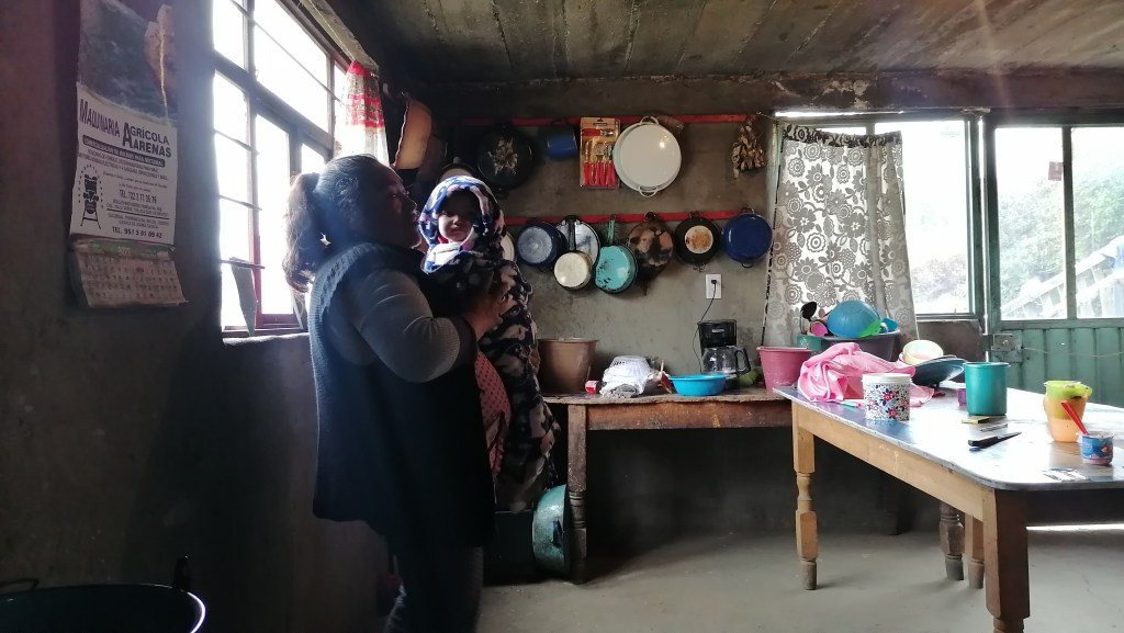 #Historias: Invierno en la montaña: los que sobreviven al frío a 3 mil metros en el&nbsp;Xinantécatl