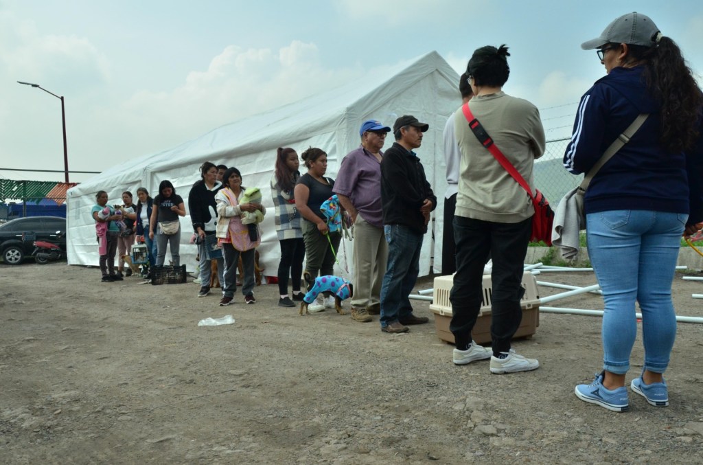 En colonia Loma Linda de Tlalnepantla se esterilizan a decenas de seres sintientes tras gestión de la diputada Graciela Argueta&nbsp;Bello
