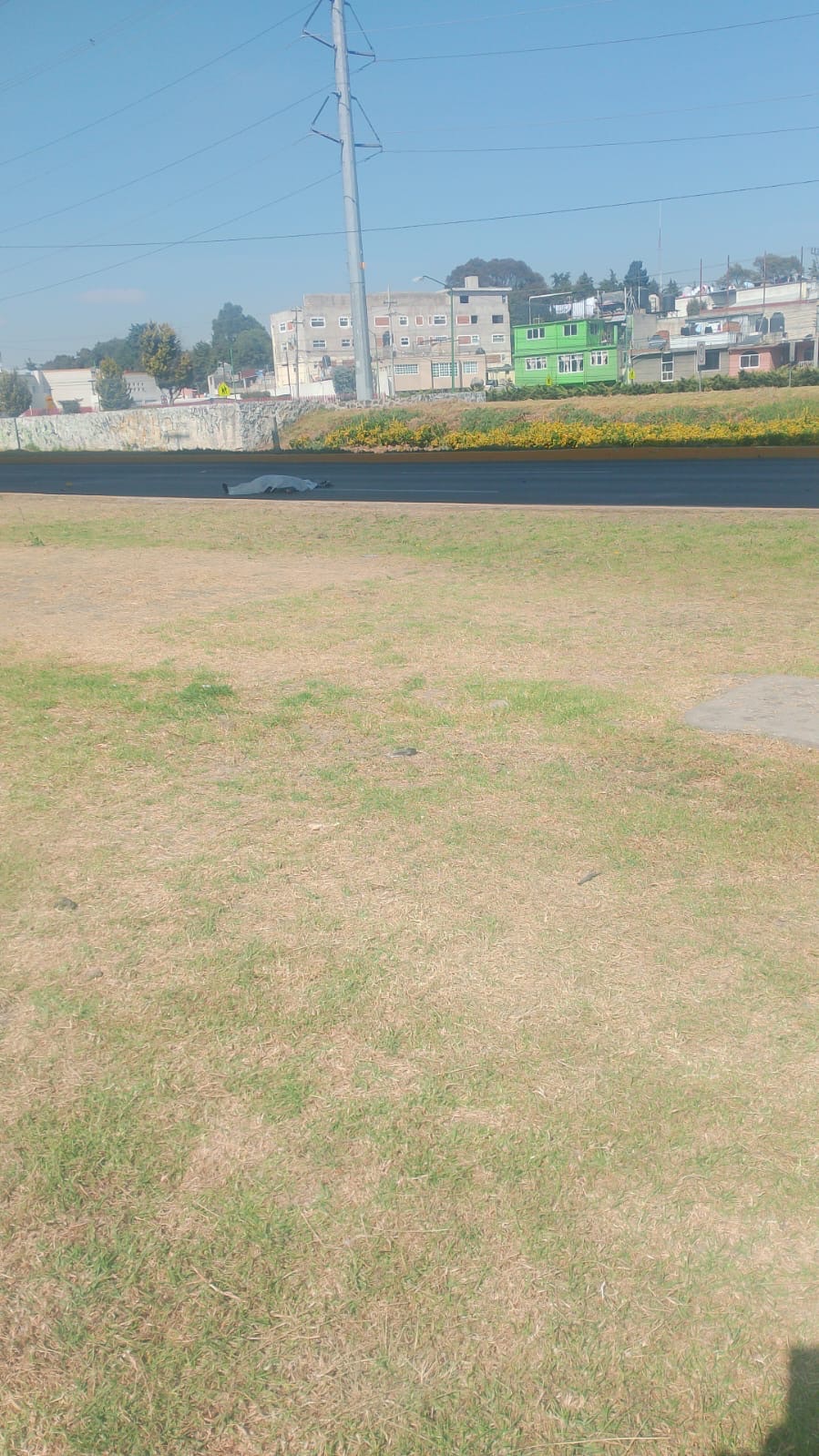 Iba a su mandado y falleció&nbsp;arrollada