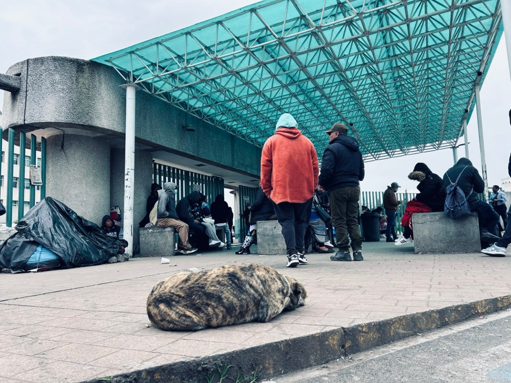 Crónica: Días de invierno afuera del hospital Adolfo López&nbsp;Mateos