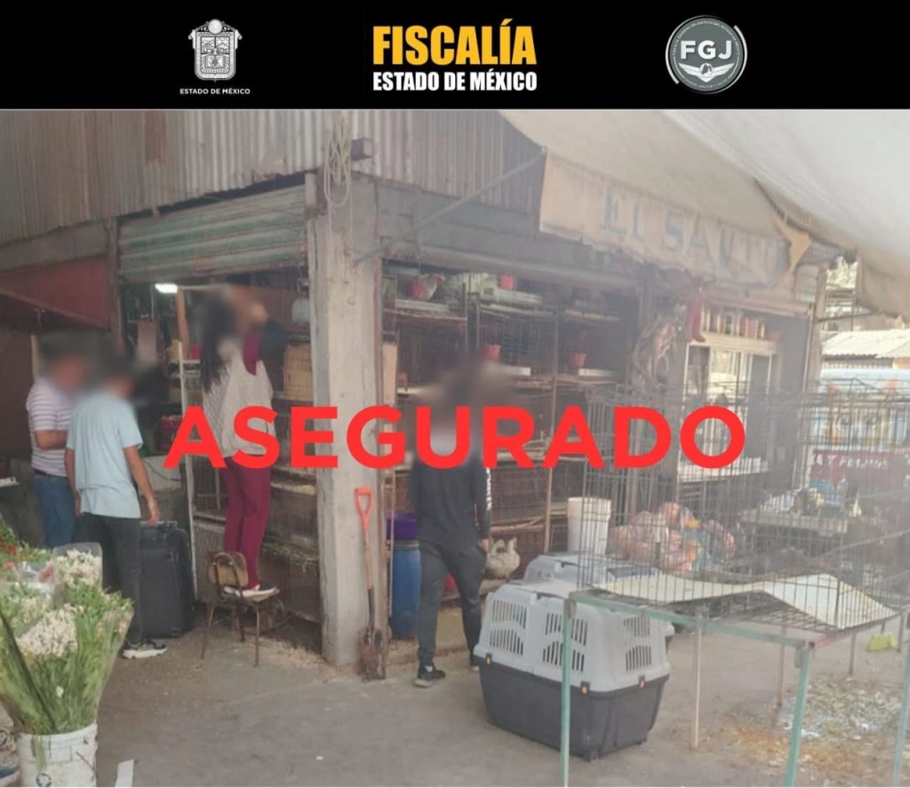 Acumulaban animales en local comercial de&nbsp;Edomex