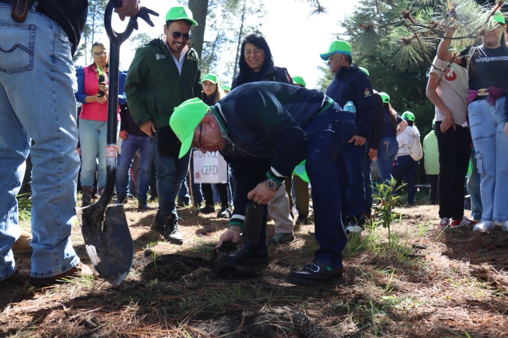 Reforestarán zona boscosa de #Zinacantepec con 3 mil&nbsp;arbolitos