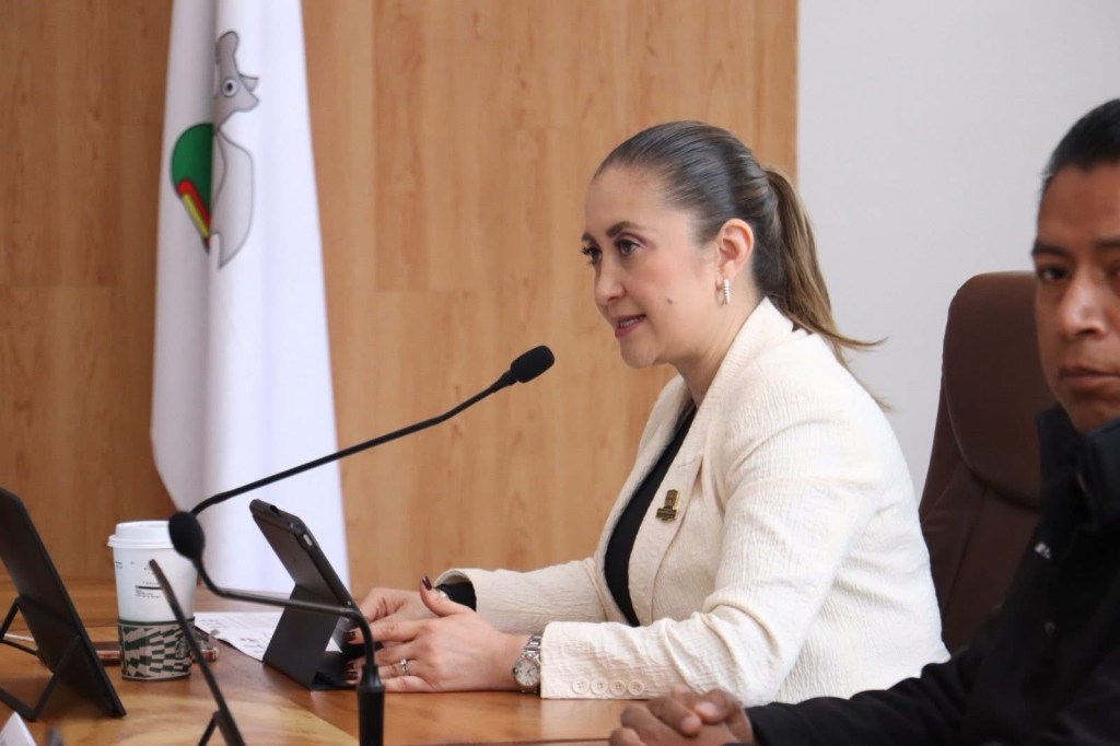 Aprueban en #Zinacantepec programa para protección de&nbsp;menores