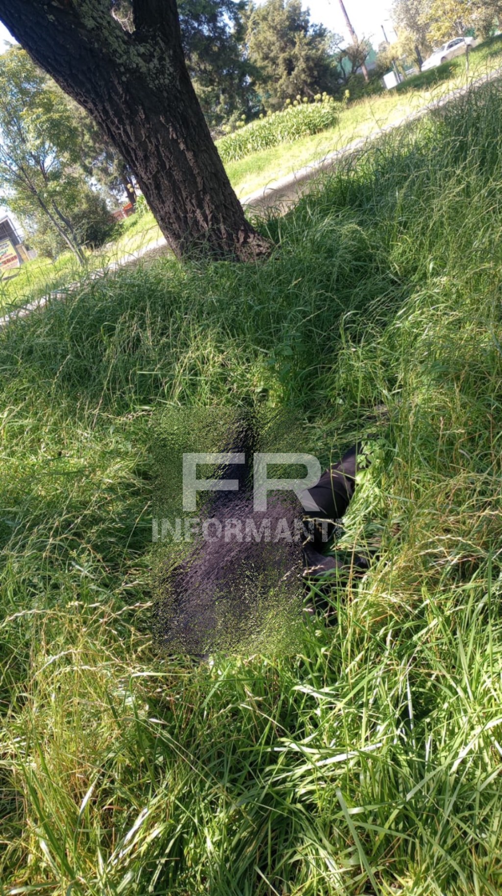 Hallan sin vida a una mujer en Paseo&nbsp;Tollocan